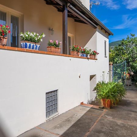Casa Assunta B&B Vico Equense Eksteriør billede