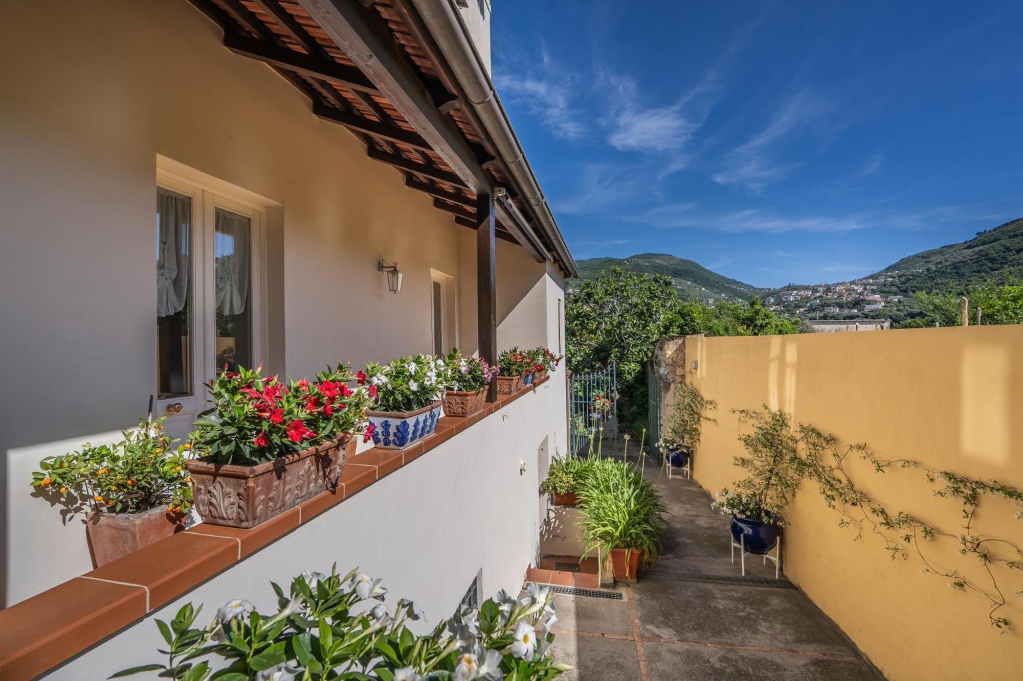 Casa Assunta B&B Vico Equense Eksteriør billede